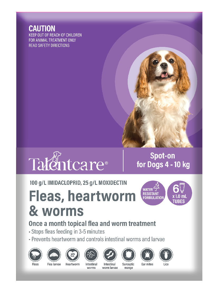 Talentcare Spot On Dog 4kg-10kg 6 Pack-Dog Wormer & Flea-Ascot Saddlery