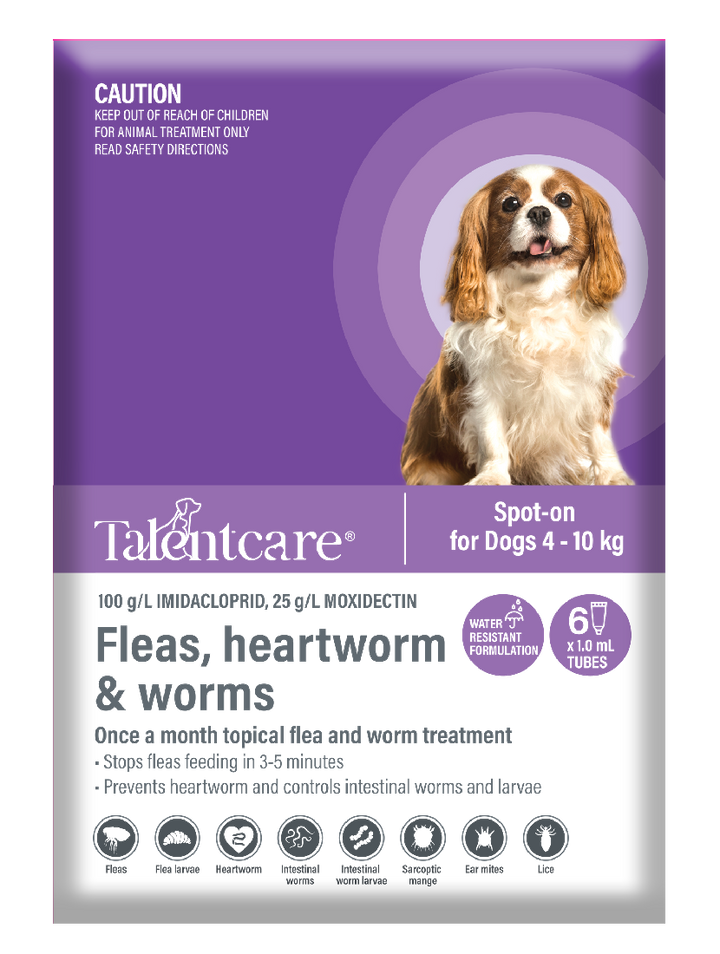 Talentcare Spot On Dog 4kg-10kg 6 Pack-Dog Wormer & Flea-Ascot Saddlery
