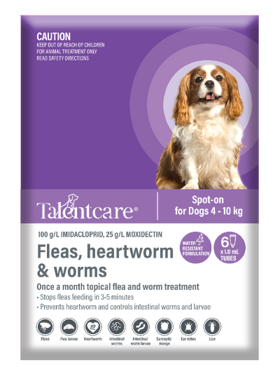 Talentcare Spot On Dog 4kg-10kg 6 Pack-Dog Wormer & Flea-Ascot Saddlery