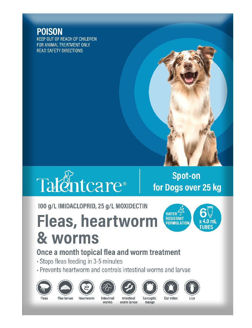 Talentcare Spot On Dog Over 25kg 6 Pack-Dog Wormer & Flea-Ascot Saddlery