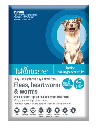 Talentcare Spot On Dog Over 25kg 6 Pack-Dog Wormer & Flea-Ascot Saddlery
