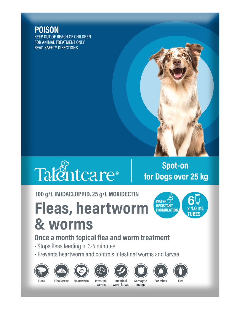 Talentcare Spot On Dog Over 25kg 6 Pack-Dog Wormer & Flea-Ascot Saddlery