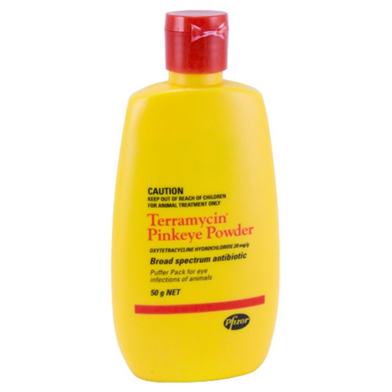 Terramycin Pinkeye Powder 50gm-STABLE: First Aid & Dressings-Ascot Saddlery