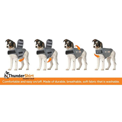 Thunder Anxiety Dog Shirt-Dog Rugs & Fashion-Ascot Saddlery