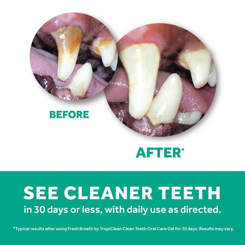 Tropiclean Fresh Breath Clean Teeth Gel Cat 59ml-Cat Potions & Lotions-Ascot Saddlery
