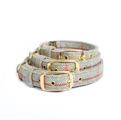 Tweedmill Tweed Dog Collar Sage-Dog Collars & Leads-Ascot Saddlery