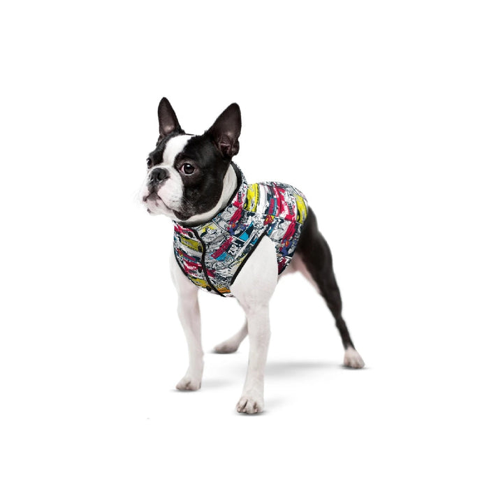 Waudog Jacket Superman Comic-Dog Rugs & Fashion-Ascot Saddlery