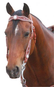 Western Bridle Swarovski Full-HORSE: Stock & Western-Ascot Saddlery