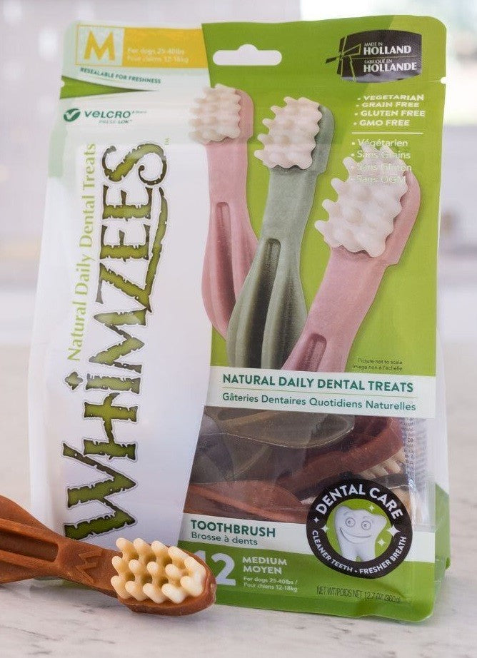 Whimzees Treat Toothbrush Star Value Bag 48-Dog Treats-Ascot Saddlery
