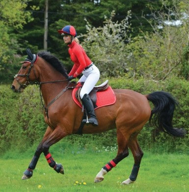 Woof Hat Cover Red & Navy-RIDER: Helmets-Ascot Saddlery