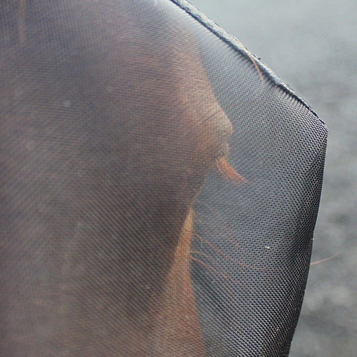 Woof Wear Flymask Uv-HORSE: Flyveils & Bonnets-Ascot Saddlery