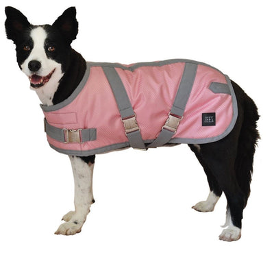 Zeez Dog Coat Supreme Grape Flamingo Pink & Grey-Dog Rugs & Fashion-Ascot Saddlery