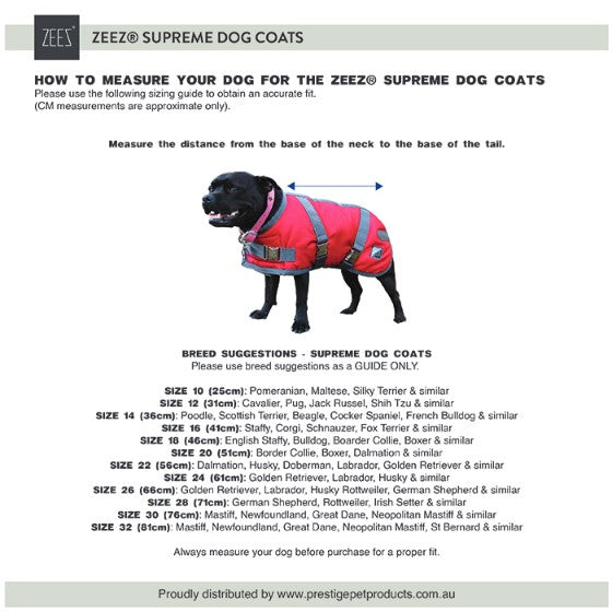 Zeez Dog Coat Supreme Mint Green & Grey-Dog Rugs & Fashion-Ascot Saddlery
