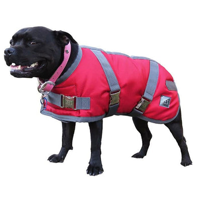Zeez Dog Coat Supreme Ruby Red & Grey-Dog Rugs & Fashion-Ascot Saddlery