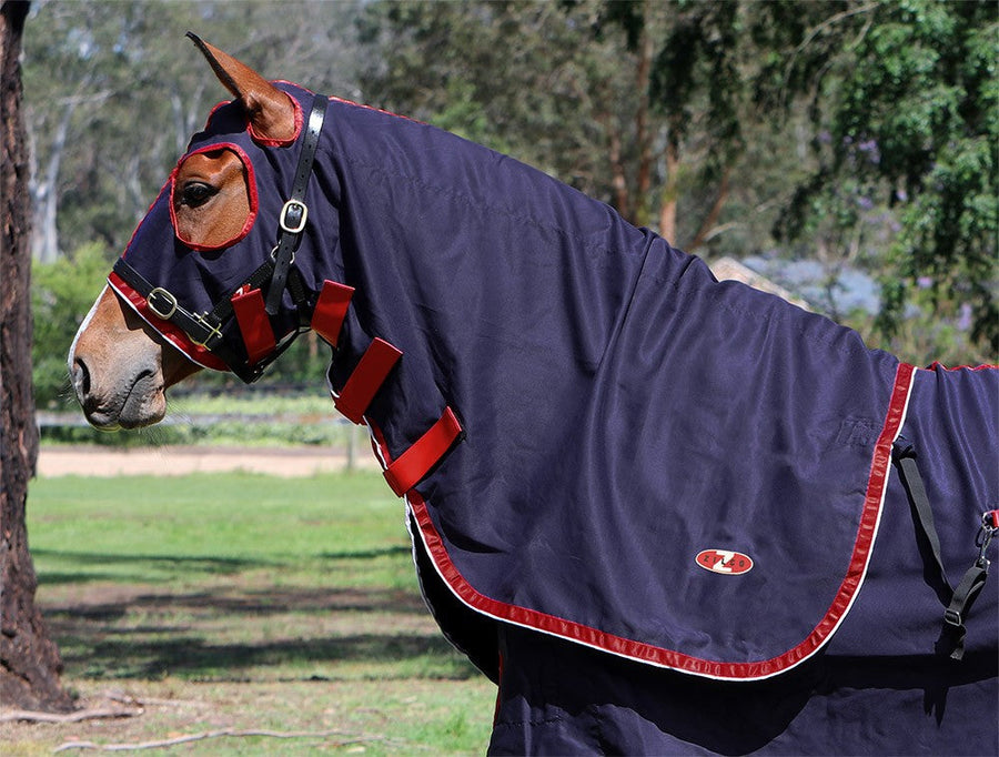 Zilco Show Circuit Cotton Hood-RUGS: Summer Rugs, Neck Rugs & Hoods-Ascot Saddlery