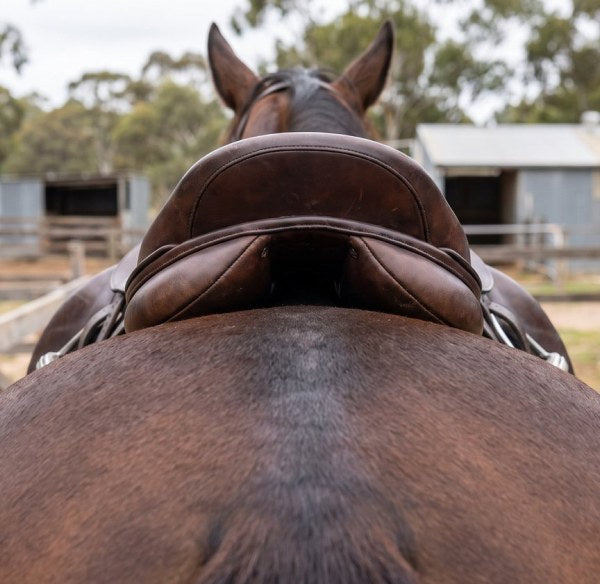 A fitted saddle viewed from behind the horse