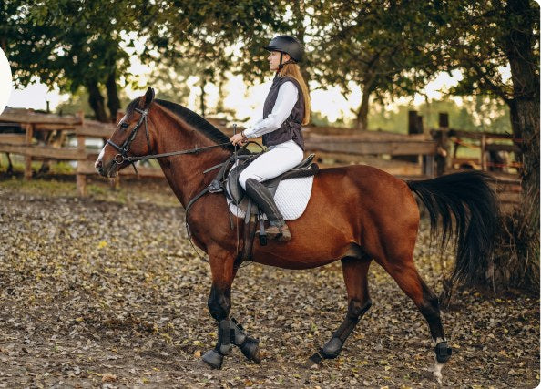 Rider on a bay horse at Ascot Saddlery saddle fitting